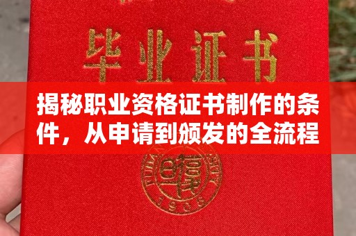 阿莲揭秘职业资格证书制作的条件，从申请到颁发的全流程解析
